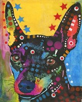 Little Dog, Big Ears Fine Art Print