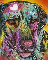Brown Eyed Dog Fine Art Print