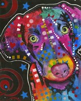 Green Eyed Shy Guy Fine Art Print