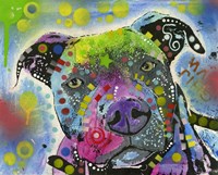 Colorful Pit Bull Fine Art Print