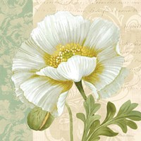 Pastel Poppies III Fine Art Print