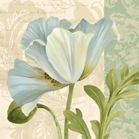 Pastel Poppies IV Fine Art Print