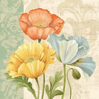 Pastel Poppies Multi I Fine Art Print