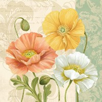 Pastel Poppies Multi II Fine Art Print
