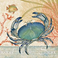 Oceana II Fine Art Print