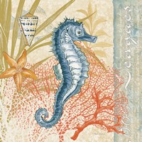 Oceana III Fine Art Print