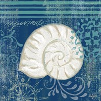 Navy Blue Spa Shells I Fine Art Print
