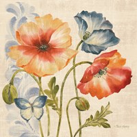 Watercolor Poppies Multi I Fine Art Print