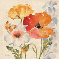 Watercolor Poppies Multi II Fine Art Print