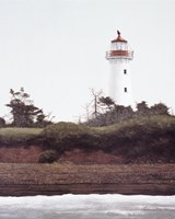 Point Prim Light Fine Art Print