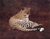 Surveying Her Realm Fine Art Print