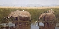 Gentle Giants Fine Art Print