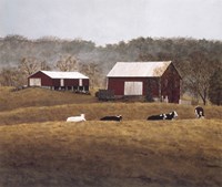 Contented 1 Fine Art Print