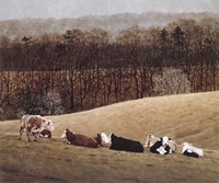 Contented 3 Fine Art Print