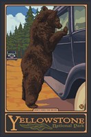 Don't Feed The Bears Yellowstone Fine Art Print