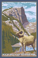 Rocky Mountain Park Ram by Lantern Press - various sizes, FulcrumGallery.com brand