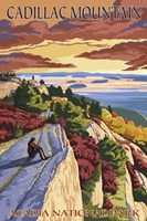 Cadillac Mountain Acadia Park Fine Art Print