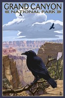 Grand Canyon National Park (crow) by Lantern Press - various sizes