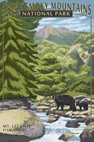 Great Smoky Mountains Park Fine Art Print