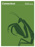 Montague State Posters - Connecticut Fine Art Print