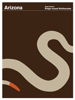 Montague State Posters - Arizona Fine Art Print