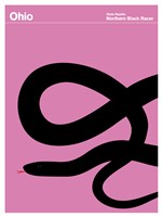 Montague State Posters - Ohio Fine Art Print