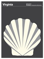 Montague State Posters - Virginia Fine Art Print