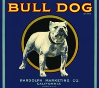 Bull Dog Brand Fine Art Print