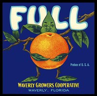 Full Florida Citrus Fine Art Print