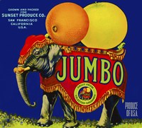 Jumbo Orange and Grapefruit by Print Collection - various sizes - $51.99
