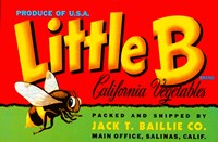 Little B Brand California Vegetables Fine Art Print
