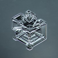 Hexagonal Plate Snowflake 003.2.9.2014.1 Fine Art Print