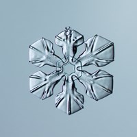 Sectored Plate Snowflake 001.3.02.2014 Fine Art Print