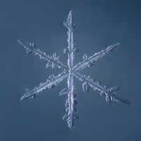 Simple Star Snowflake 002.2.16 Fine Art Print