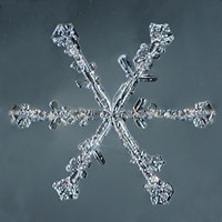 Stellar Dendrite Snowflake 004.2.14.2014 Fine Art Print