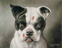 I'm a bad dog! What kind of a dog are you? Fine Art Print