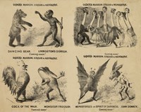 Older's Museum, Circus & Menagerie Fine Art Print