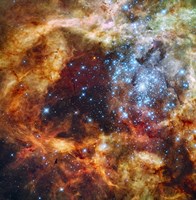 30 Doradus in Ultraviolet, Visible, and Red Light Fine Art Print