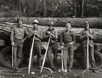 American Loggers, 1939 by Print Collection, 1939 - various sizes