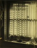 The Bathroom Window Fine Art Print