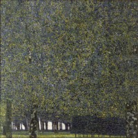 The Park by Gustav Klimt - various sizes
