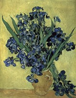 Irises(1890) Fine Art Print