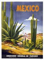 Mexico Cactus Fine Art Print