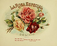 La Rosa by Vintage Apple Collection - various sizes
