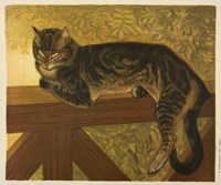 Steinlen Cat Framed Print