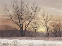Silent Sunset Fine Art Print