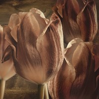 Copper Tulips Fine Art Print