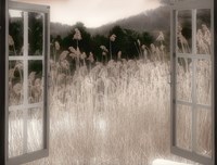 Portal Fine Art Print