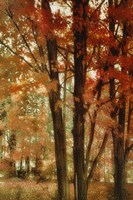 Red Forest Framed Print