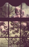 The Window Fine Art Print